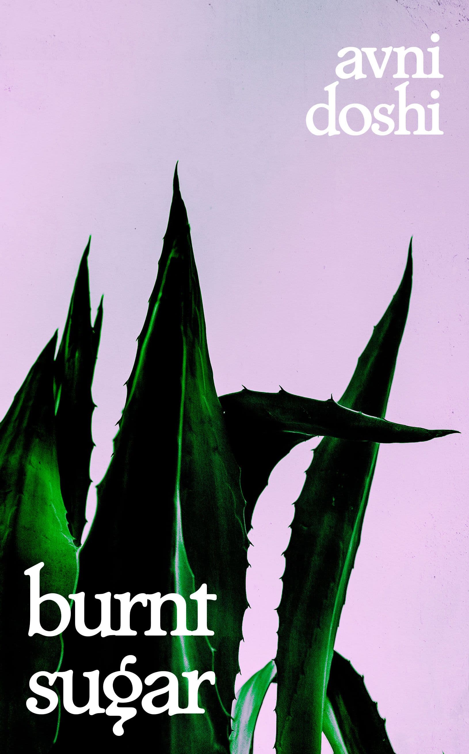 Burnt Sugar book cover