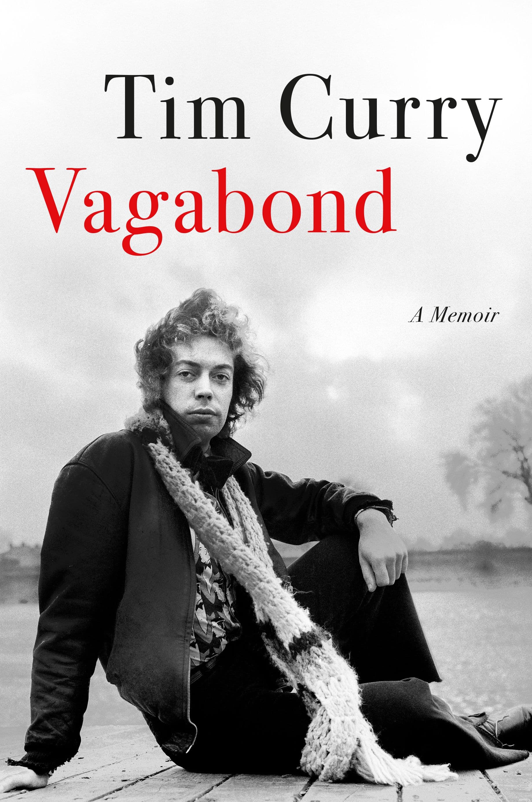 Vagabond book cover